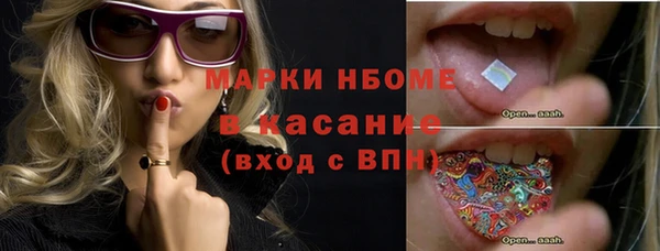 хмурый Сатка