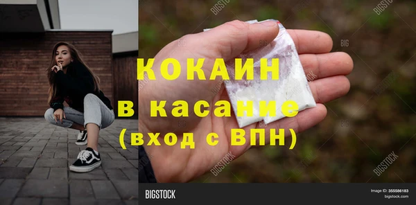 соль ск Абаза